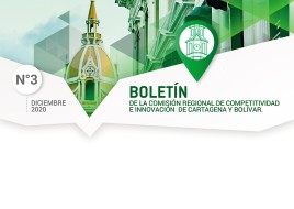 Boletín No 03 CRCI - diciembre 2020