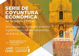 Serie de coyuntura económica de Cartagena y Bolivar 2019 - 2021