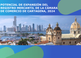 Potencial de Expansión del Tejido Empresarial 2024