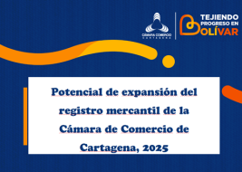 Informe Potencial de expansión del tejido empresarial